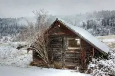 01111111111.webp
