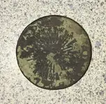 1783 Nova Constellatio reverse after cleaning.webp
