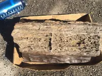 ImageUploadedByTreasureNet.com1510162757.318533.webp ImageUploadedByTreasureNet.com1510162757.318533.webp