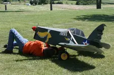 War Duck.webp