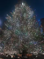 C27C9133-298B-436B-9695-376809712D5D.webp
