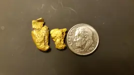 2nd nugget.webp