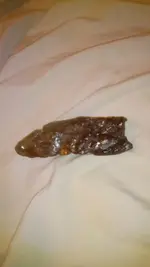 IMG-20171030-WA0007.webp