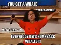 whale.webp