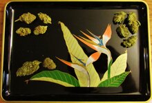 weed tray 004.JPG