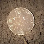 U3tcA6O.webp