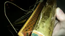 20171027_011630.webp