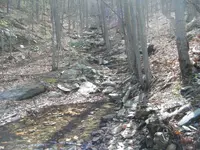 2011_0216Mttohuntdeer4th0017.webp
