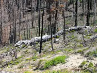 175_7527 neat rock outcrop.webp