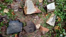 1106171708.webp