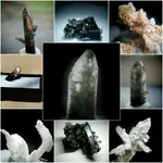Collage.webp