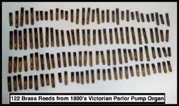 organ reeds.webp
