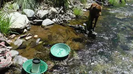 DSCF0909.webp