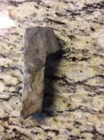 ImageUploadedByTreasureNet.com1513451317.338130.webp