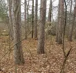 20171126_190326.webp