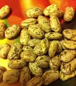 pinto-beans.webp
