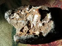 20171206_121250.webp
