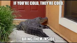 cold1.webp