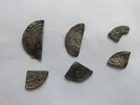 MY CUT HALVES AND QUARTERS.webp MY CUT HALVES AND QUARTERS.webp