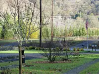 Fall color2A.webp