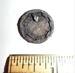 Button rear view 1.webp