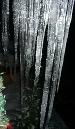 000_1762.webp