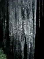000_1761.webp