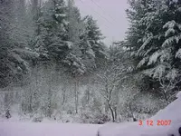 MVC-007S.webp