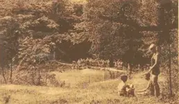 UNKNOWN COUNTY WARD MANOR PA The Swimming.webp