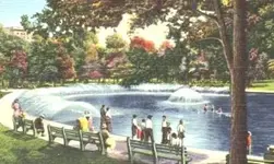 MASS FROG POND BOSTON COMMON BOSTON MASS SWIMMING , WATCHING.webp