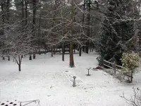 FirstDusting2007.webp