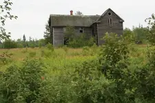 Skanee.webp