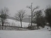 IMG_1402_1_1_1.webp