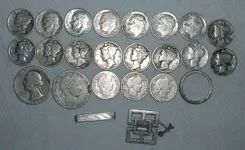 silversincedecember07resized.webp