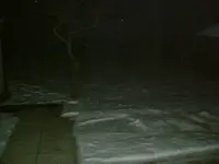 DSCF0015.webp