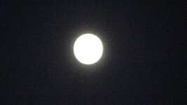 Full Cold moon.JPG