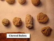 Chewed Bullets.webp