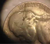 ImageUploadedByTreasureNet.com1513515721.357294.webp