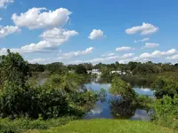 Our Back Yard.webp