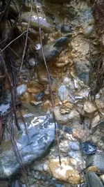 WP_20140330_007.webp