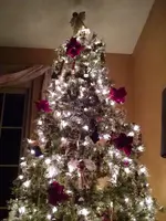 IMG_20171118_051052989.webp