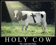 untitled cow.webp
