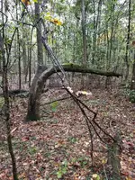 20171109_170320.webp 20171109_170320.webp
