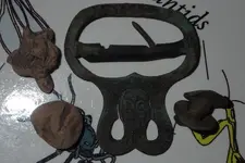 Schultzes Buckle Freeze Out 004.webp