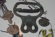 Schultzes Buckle Freeze Out 010.webp