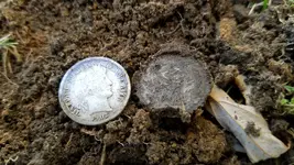 20171024_172151.webp