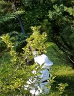 20171109_233258.webp
