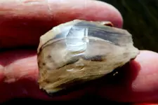 DSCN2558.webp
