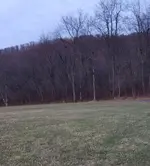 20171127_185657.webp