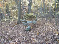 2010_1113Mttohuntdeer4th0012.webp
